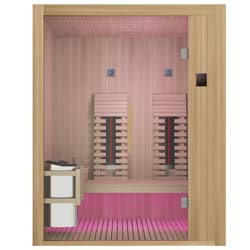 Hybridsauna