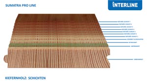 Langtextfoto-Kiefernholz-Schichten-Sumatra